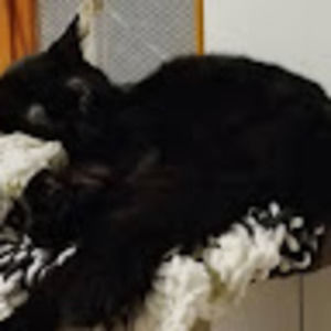 Meet your Posher, Klaid